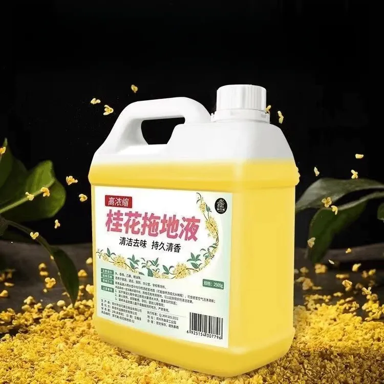 【新人福利】桂花拖地清洁液浓香型家庭装宾馆酒店持久清洁剂拖地