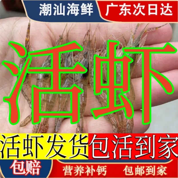 活虾鱼缸鱼饵除藻青虾大眼贼中华长臂虾原生态野生大河虾淡水活虾