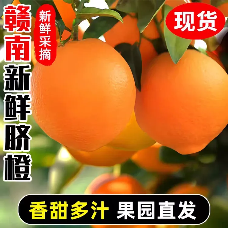 正宗新鲜无籽赣南脐橙5斤10斤装脐橙现摘手剥新鲜橙子精品果整箱