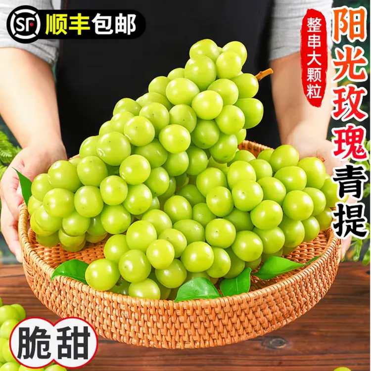 藤上熟丨阳光玫瑰 玫瑰香青提 提子葡萄顺丰包邮