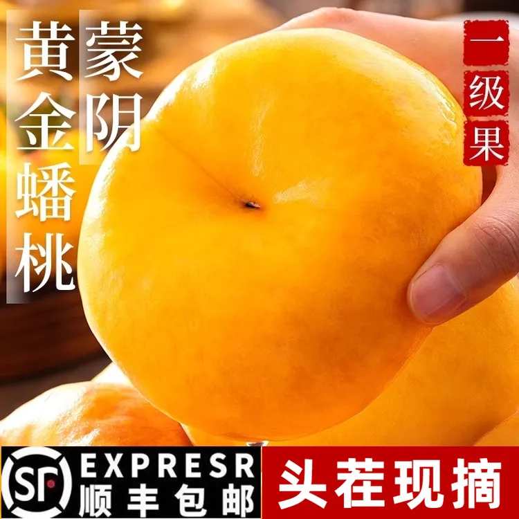 黄金蟠桃现摘现发蒙阴毛桃顺丰速达爆汁水果助农孕妇宝妈辅食