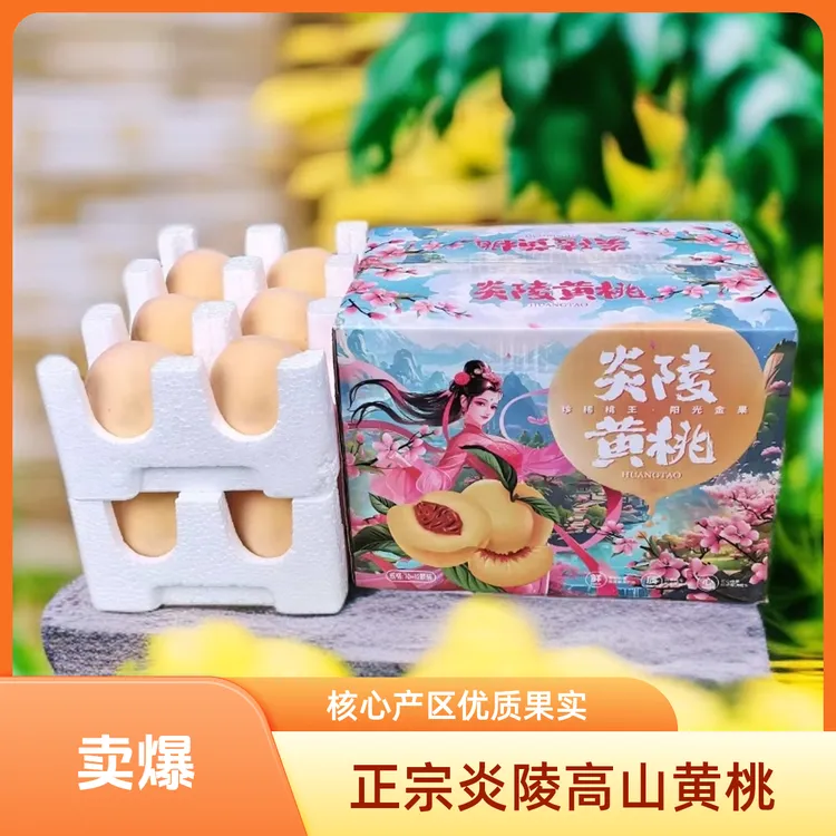 正宗炎陵黄桃 5斤装 大果 核心产区 现摘现发 顺丰空运