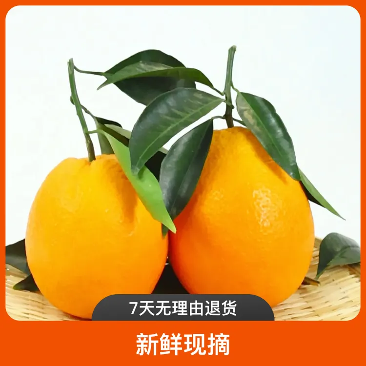 正宗湖北秭归脐橙长红纽荷尔新鲜多汁酸甜可口
