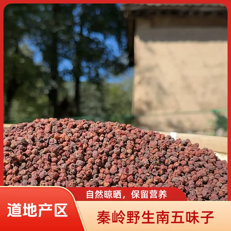 秦岭山区纯野生南五味子，天然无添加，用于泡水泡酒更显品质