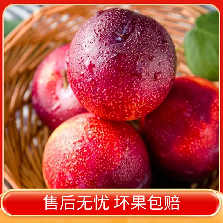 【大夏臻品】山西运城麻脸油桃头茬鲜果桃香浓郁脆甜脆润可口