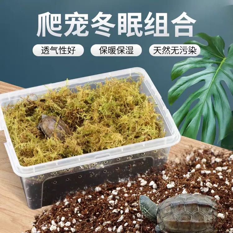 乌龟全套冬眠用品装备椰土苔藓沙土保温冬眠神器恒温箱乌龟冬眠箱