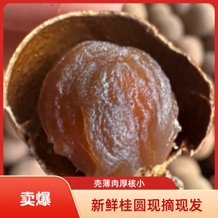 高州储良桂圆干当季新货,香甜肉厚