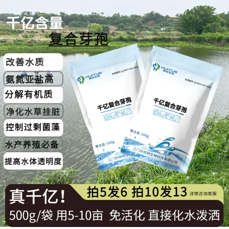 千亿复合水产养殖专用分解有机质氨氮亚盐枯草隋老师说鲈鱼