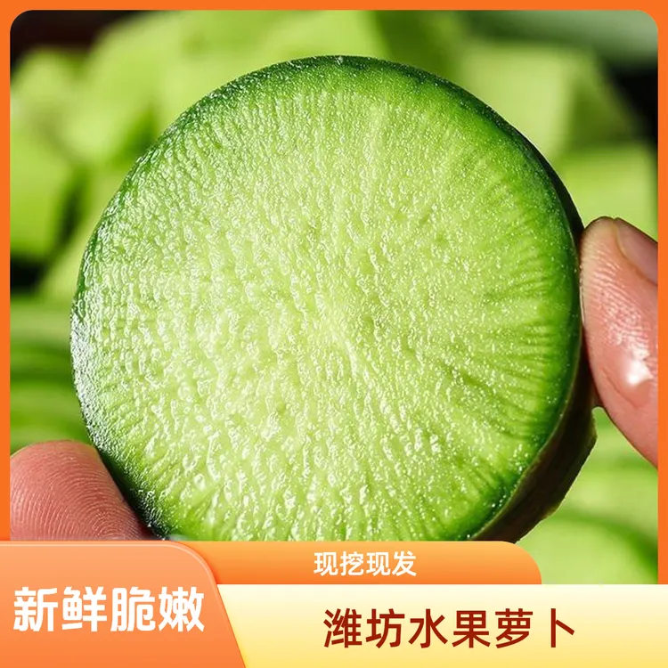 水果萝卜山东萝卜3斤5斤9斤潍坊原产地直发脆嫩青萝卜脆甜爽口