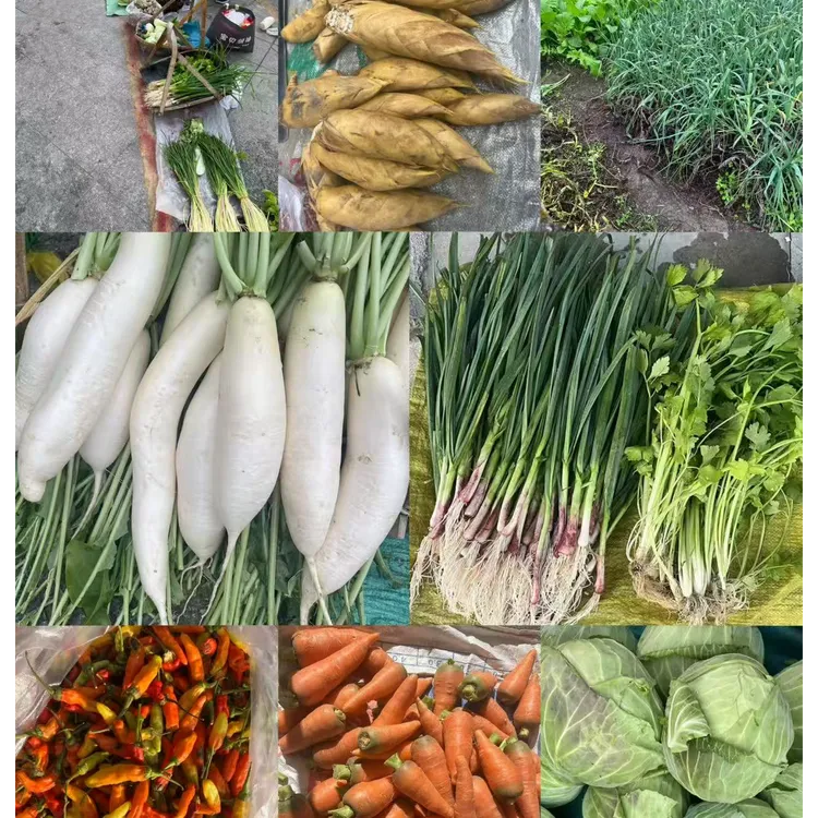 【蔬菜盲盒】赶集代买江西赣南安远农家露天应季瓜果蔬菜新鲜采摘