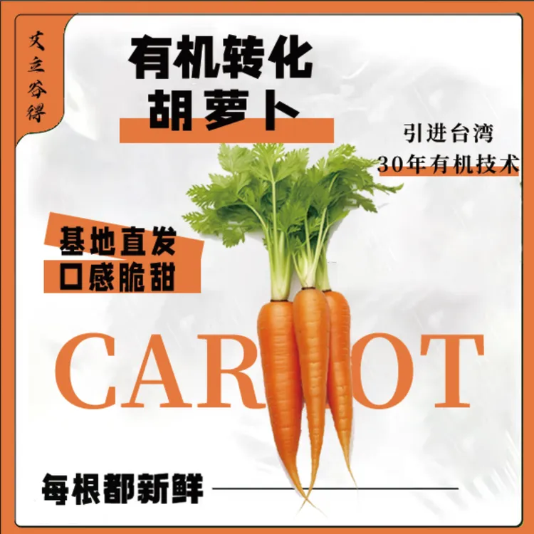 【现拔精品】新鲜有机种植胡萝卜 【无农药无化肥】五斤装