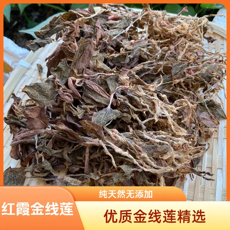 【金 线 莲】正宗野生林下种植红霞金线莲陈皮
