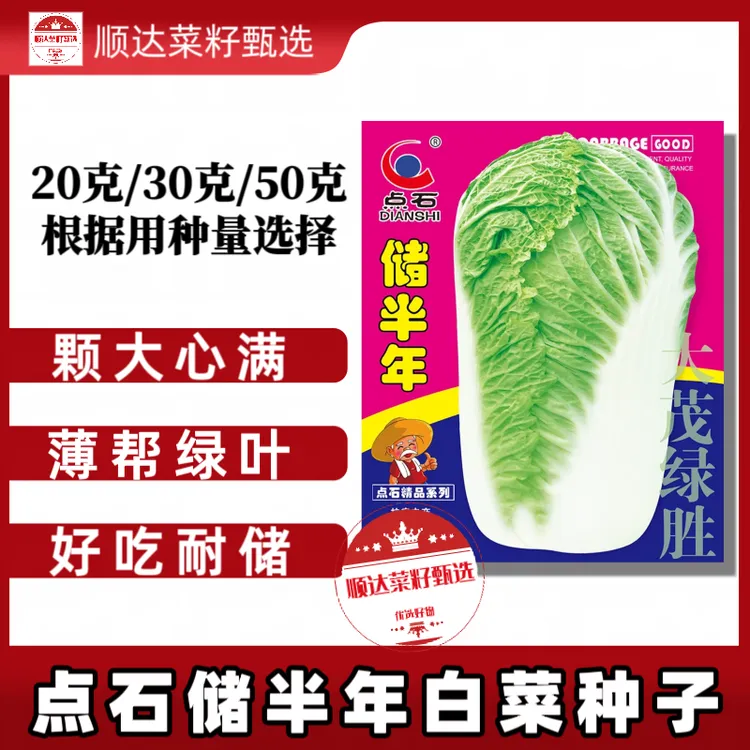【点石储半年】白菜种子