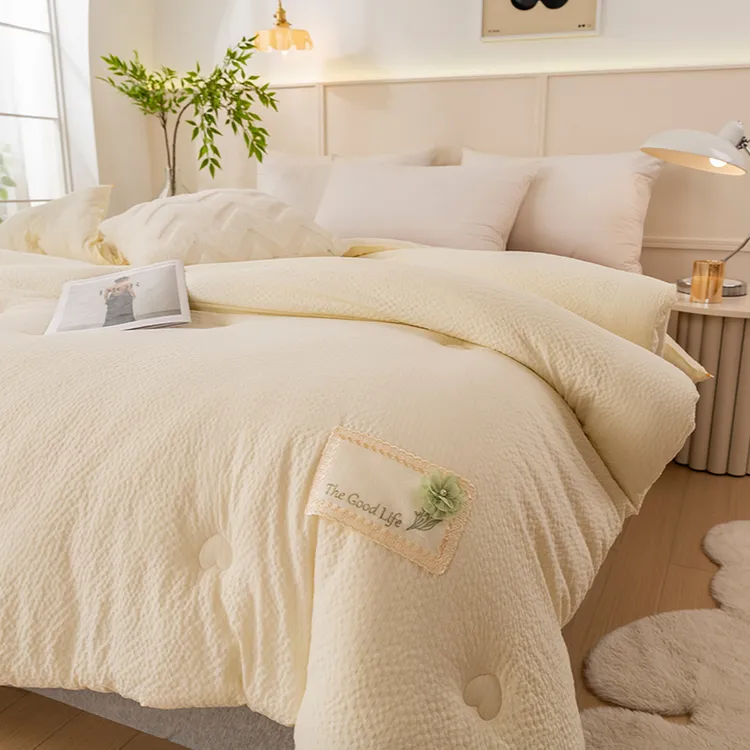 双层皱皱纱大豆被子 学生宿舍春秋被单人加厚保暖冬被双人被芯