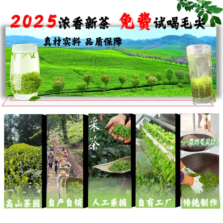 【一斤】装毛尖贵州新茶绿茶新绿茶浓香茶栗香茶高山手工采摘绿茶