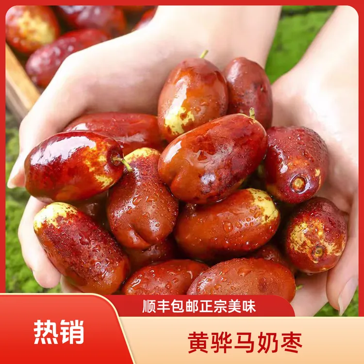 【顺丰包邮】河北黄骅马奶枣长枣脆甜皮薄大果孕妇水果