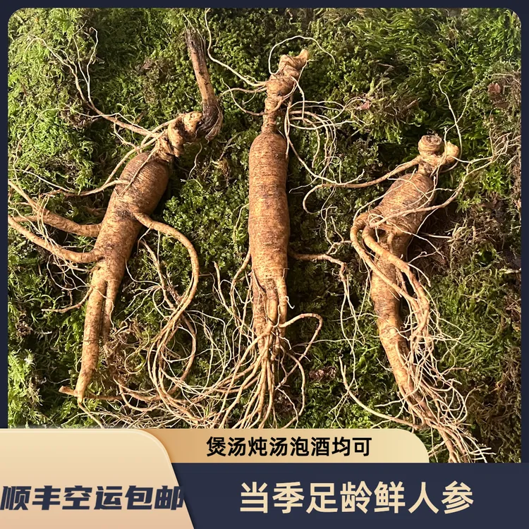 东北特产长白山 鲜人参 新鲜带土 适合泡酒 煮水 炖汤佳品