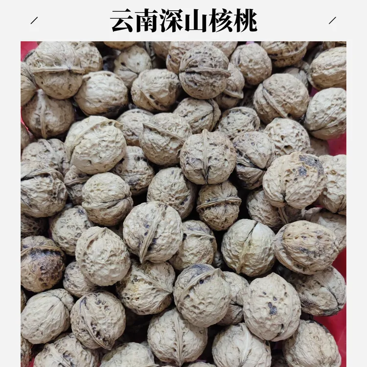 【2025干货【】云南深山老树纸皮核桃薄皮原味核桃营养坚果零食