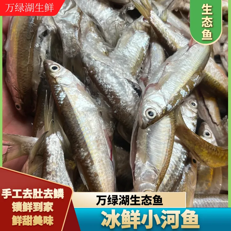 万绿湖小河鱼渔民现捕顺丰冷链到家