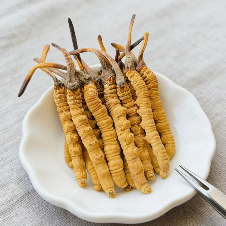 【永乐行】西藏0.3冬虫夏草 S    管装