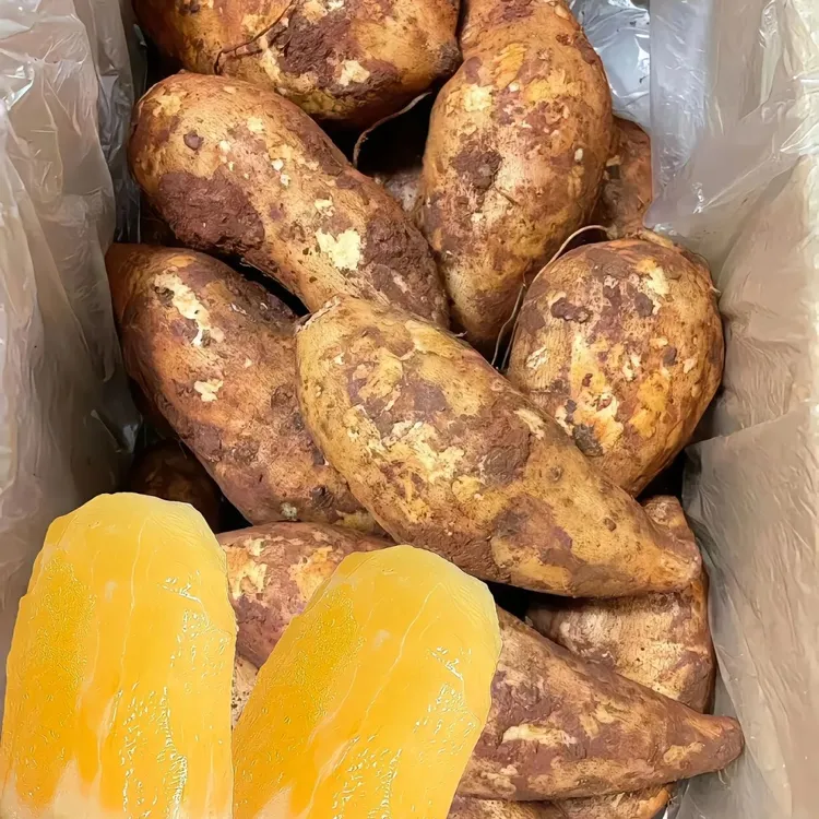 【2025年头茬】现挖云南黄心雪莲果新鲜水果脆甜多汁孕妇应当季水果