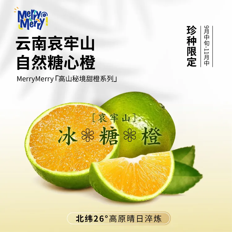 正宗云南哀牢山冰糖橙新鲜应季水果现摘皮薄多汁清甜xm