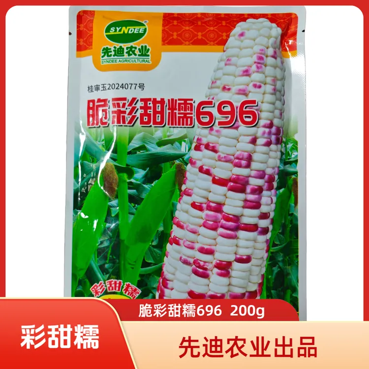 脆彩甜糯696玉米种子彩甜糯玉米甜粘玉米籽春秋种植糯玉米种子