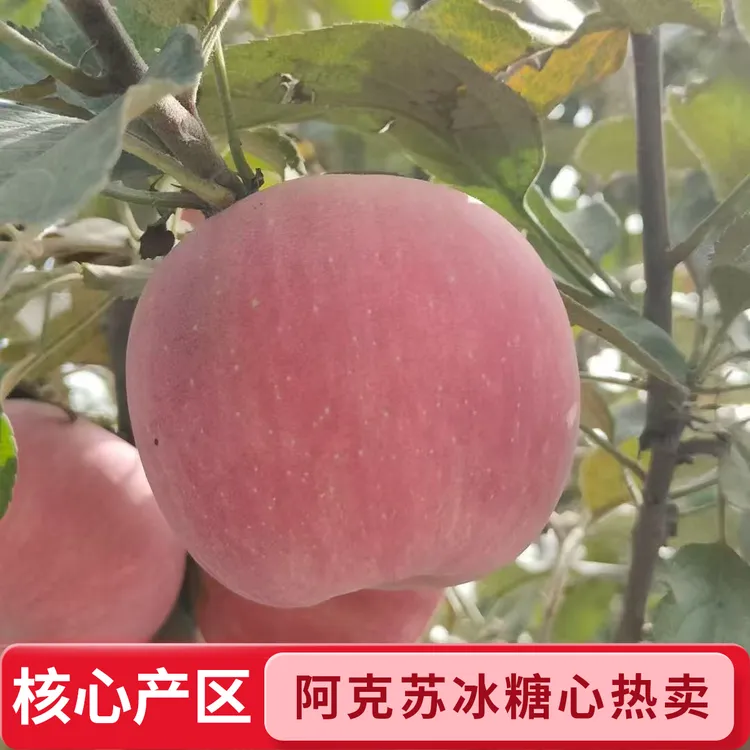新疆直发正宗新疆阿克苏冰糖心苹果8斤新鲜水果