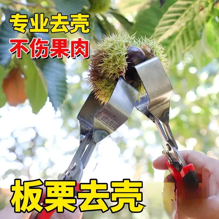 生板栗剥壳好物新鲜栗子刺球开口夹防刺手去壳钳子开壳工具脱蓬器