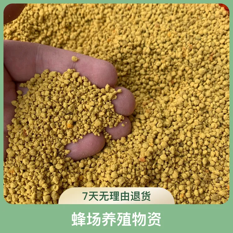 花粉粒 纯花粉菜花粉蜜蜂花粉杂粉