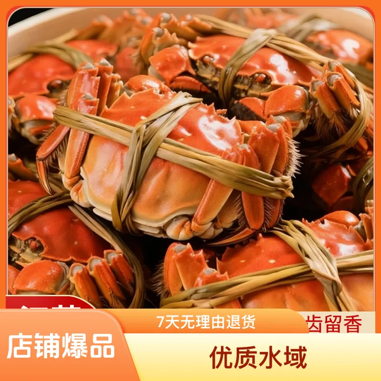 【活蟹】4.6-4.3两公蟹3.6-3.3两母蟹8-10只装江苏洪泽湖大闸蟹