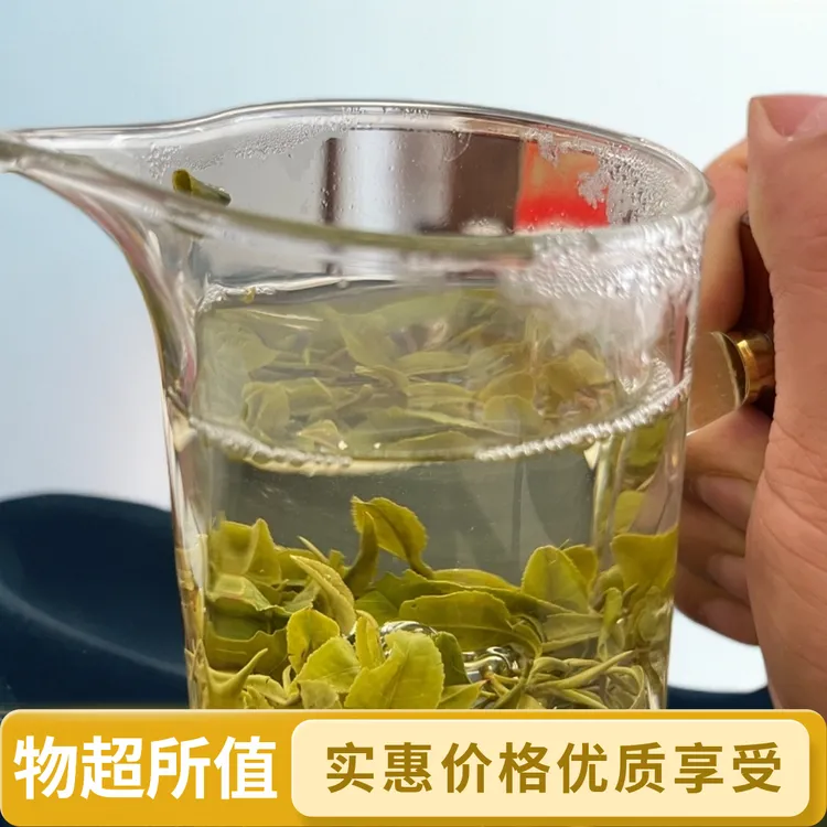 日照绿茶新茶浓香板栗香沙口大滋味浓香春茶实惠2025口粮