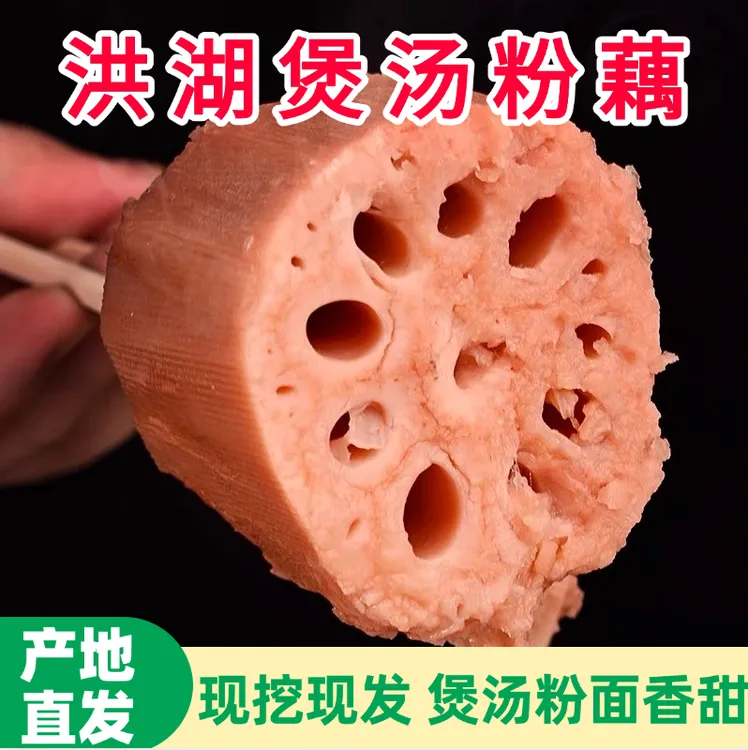 洪湖粉藕5斤3斤煲汤九孔粉糯红藕糯米藕藕粉藕清水莲藕新现挖