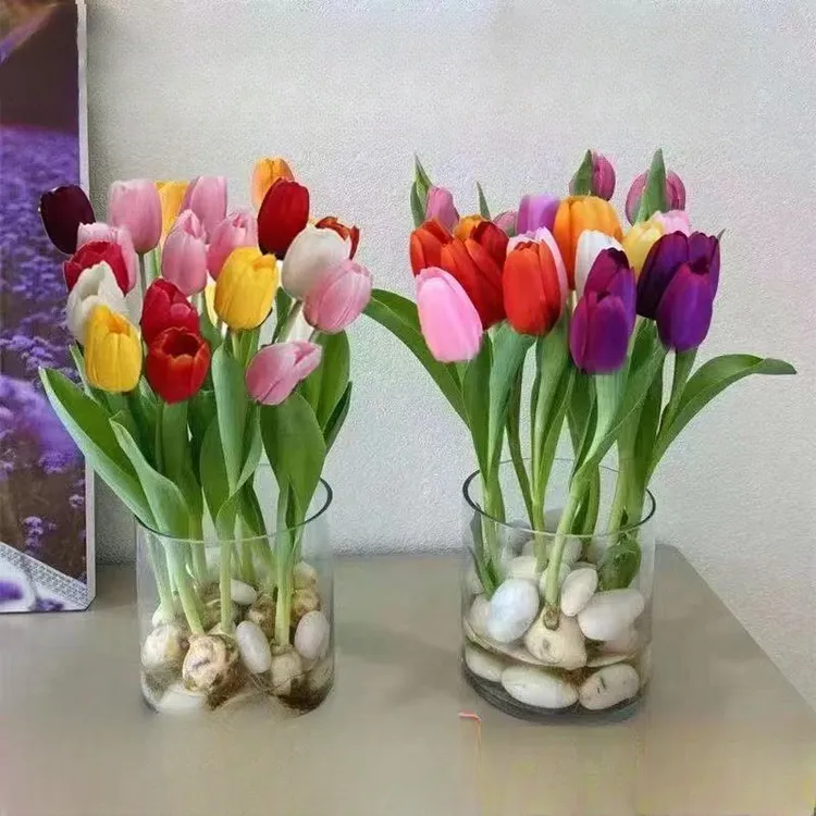 【新疆包邮】郁金香种球土培水培耐寒多年生室内外庭院盆栽自然球