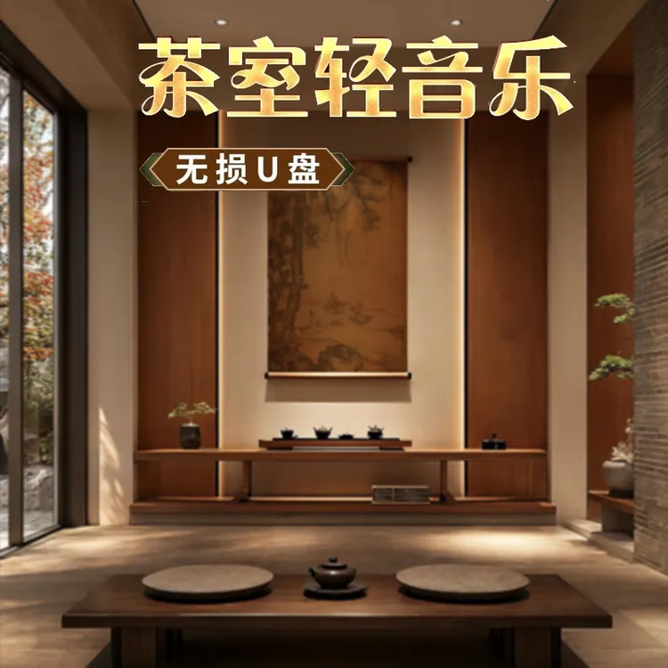 舒缓养生馆轻音乐无损u盘酒店大堂餐厅餐吧茶室专用音响歌曲u优盘