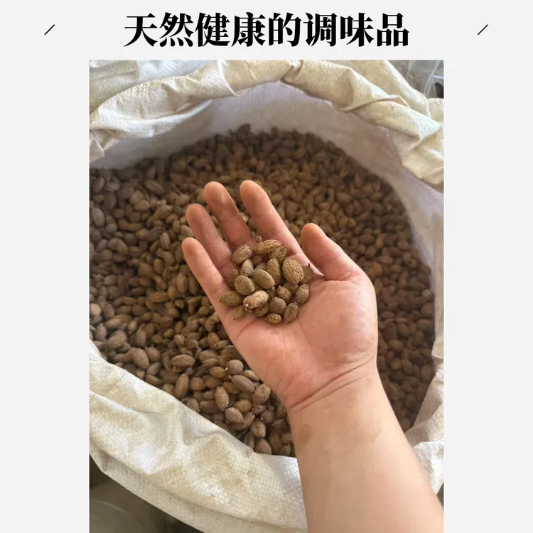 安国中药材市场批发壳砂仁毛砂仁100-1000g