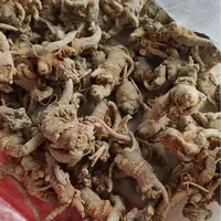 三七精选云南特产三七干货田七无硫人工挑选