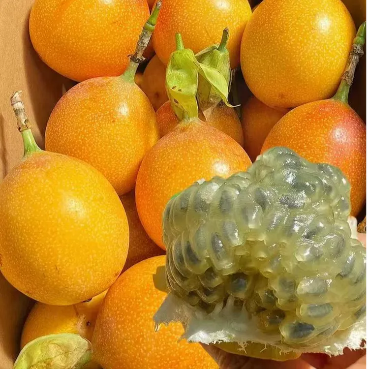 （顺丰包邮）云南西双版纳热情果新鲜现摘纯甜无酸美味水果