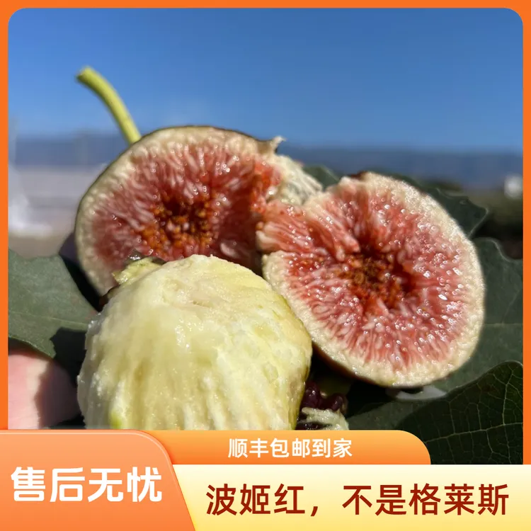 【波姬红无花果】【不是格莱斯】四川云南应季水果新鲜采摘顺丰包邮