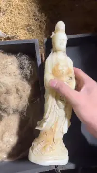 香榧木（1个小复利）