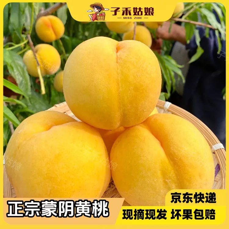 蒙阴黄桃沂蒙山黄毛桃黄金蜜桃子新鲜现摘水果应季3斤/4.5斤