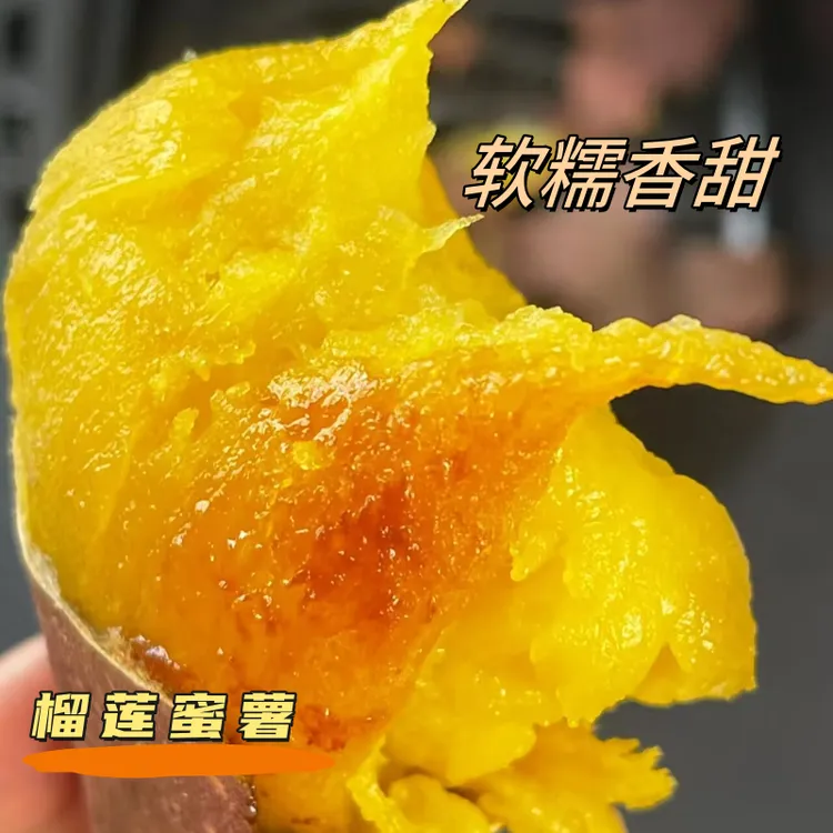 ［云南正宗］榴莲蜜薯红瑶玛莎莉·当季现挖细腻香甜软糯·可蒸煮烤