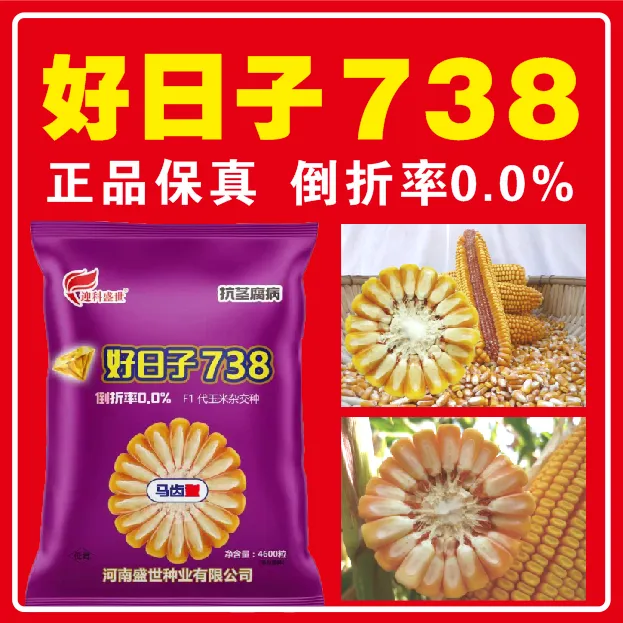 好日子738【王】倒折率0.0 高产有密码种正品保真