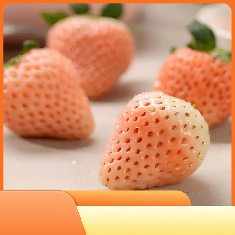 淡雪草莓苗梦之谣白草莓苗盆栽植物观景果香甜饱满四季家庭阳台花