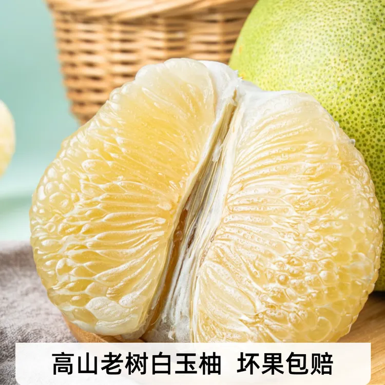 【奶糖柚】福建老树白玉柚平和蜜柚白金柚坏果包赔送开果器