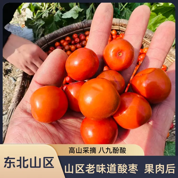 东北山区大酸枣解腻小零食果肉饱满酸甜鲜摘孕妇水果孩子包邮