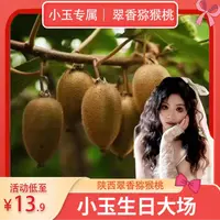 古槐树下陕西周至正宗翠香猕猴桃50-70*30枚装新鲜采摘孕妇应季
