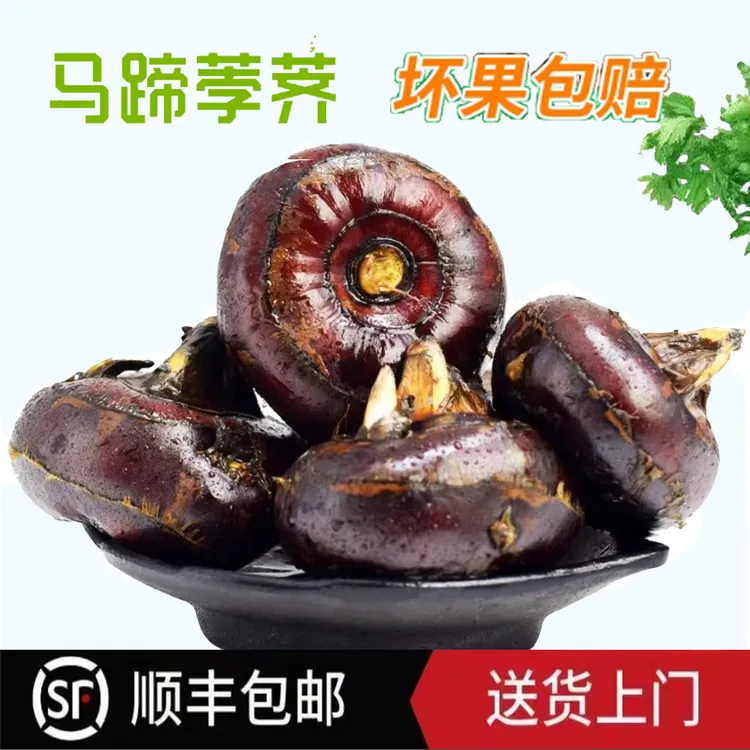 【顺丰包邮】新鲜水果马蹄荸荠安徽特产脆甜多汁炒菜煲汤现挖现发