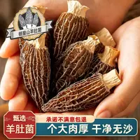 樾皇山高山头茬（5-7公分）羊肚菌干货香味足营养滋补炖汤食材