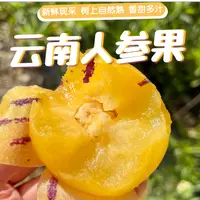 云南石林树上熟人参果 甜蜜多汁 果型饱满 新鲜采摘